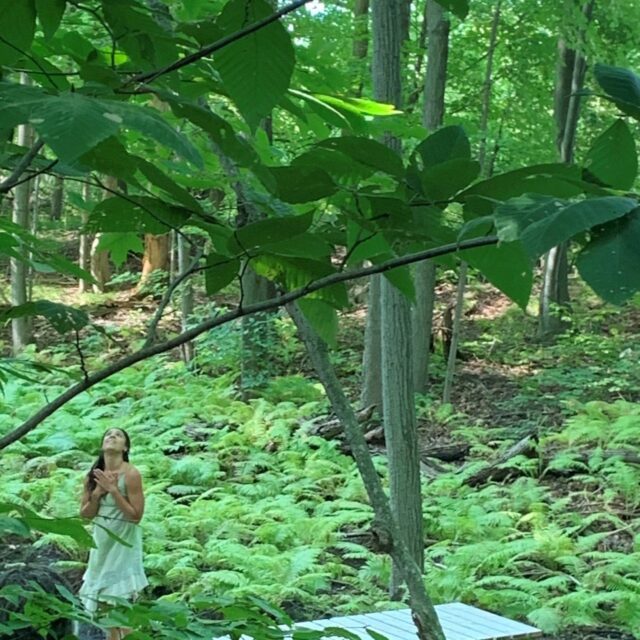 Spirit of the Forest
