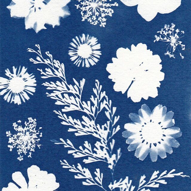 Cyanotypes with Sara Keller