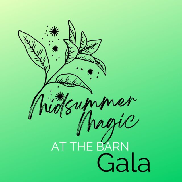 Mid Summer Magic Gala