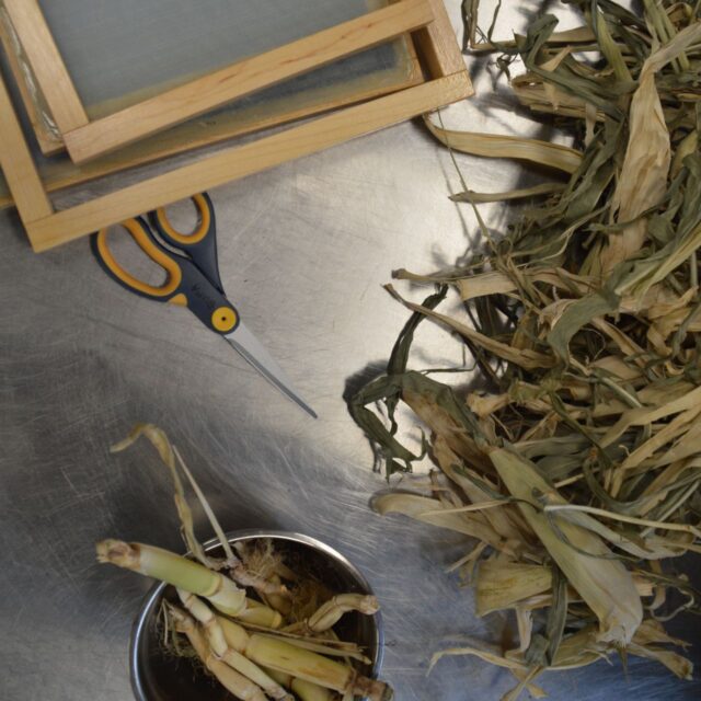 Botanical Papermaking with Joanne Rich 