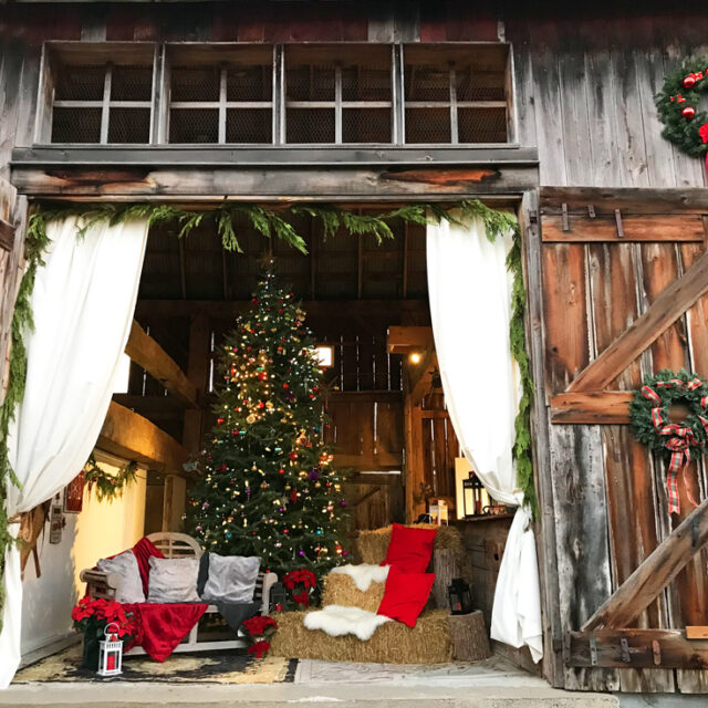 ANDARA Gallery Presents: 4th Annual Holiday Photo in the Barn