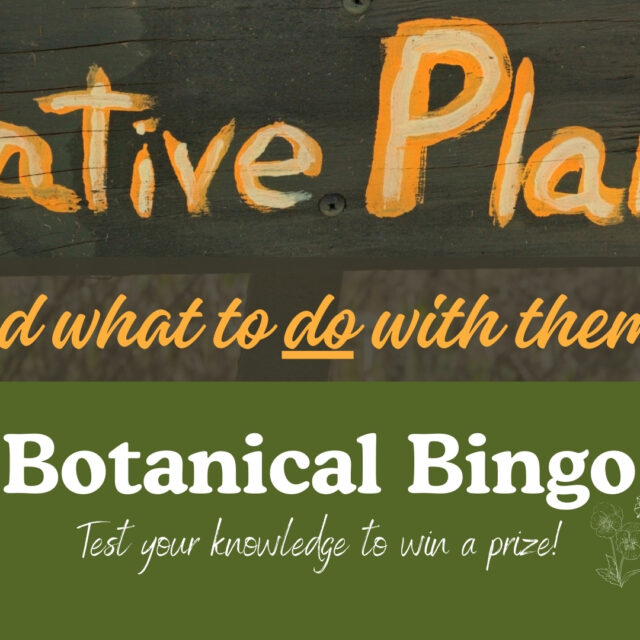 Native Plants Q&A and Botanical Bingo