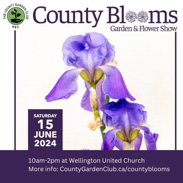 County Blooms Garden & Flower Show