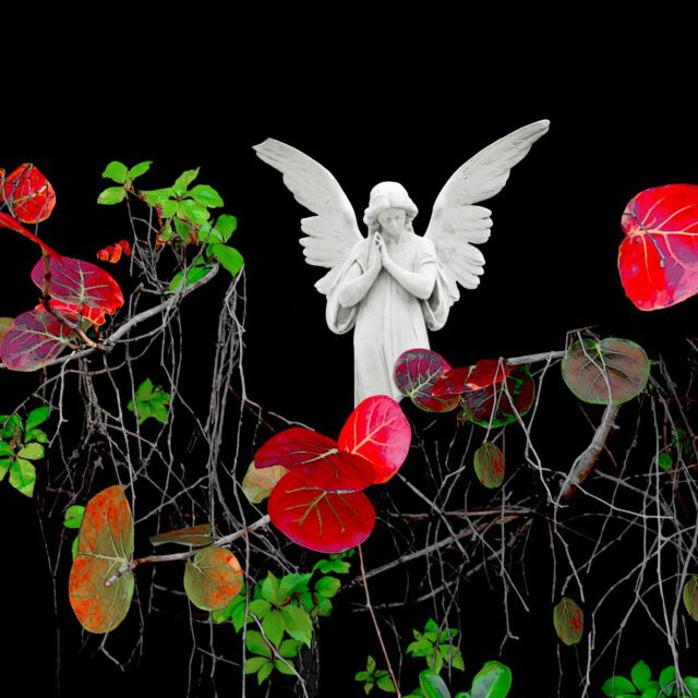ANDARA Gallery presents: BOTANICA