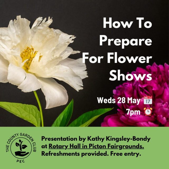 How To Prepare For Flower Shows