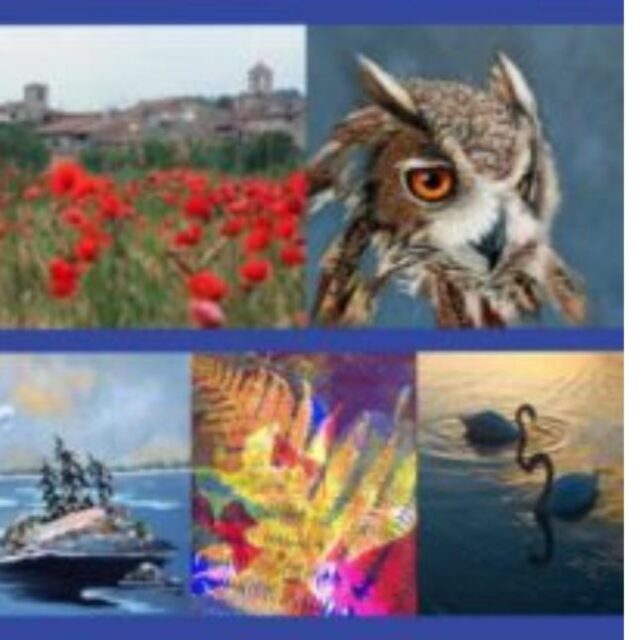 Rednersville Road Group Show - From End to End