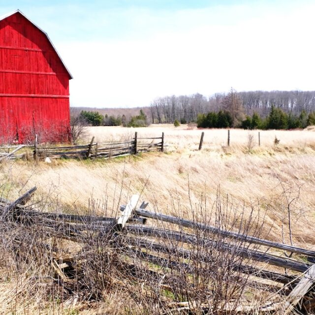 Home and Away: photography and woodworking by Kevin Scanlon