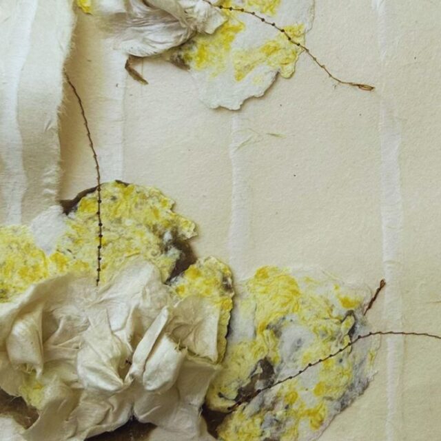A Walk withe Paper 2.0 -Solo Show by Cindy Lam