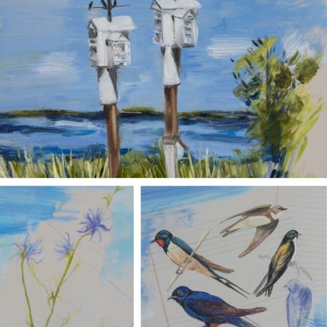 Field Notes -Solo Show by Kathleen Dawson