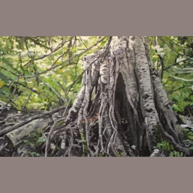 James Olley’s “Quiet Moments”