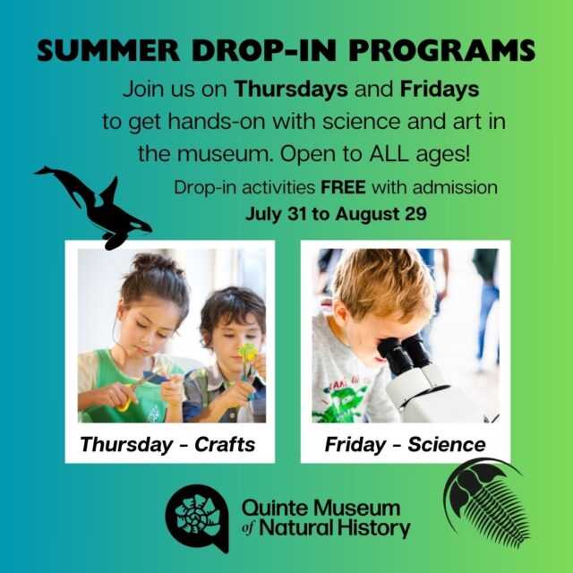 Quinte Museum of Natural History Summer Drop-Ins