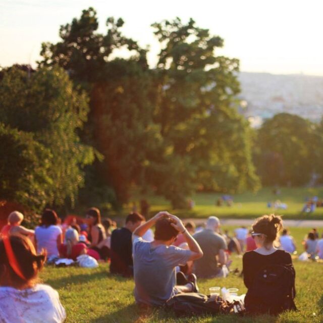 Summer Music Nights