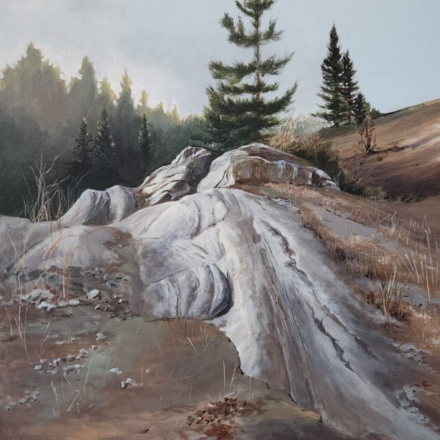 “Canadian Landscapes” by Terri Horricks at the QAC