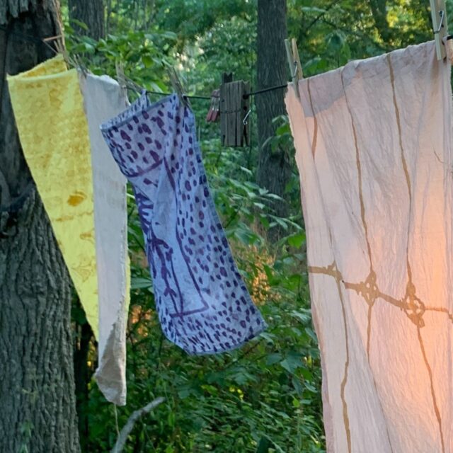 Painting with Natural Dyes with Megan Fitzgerald