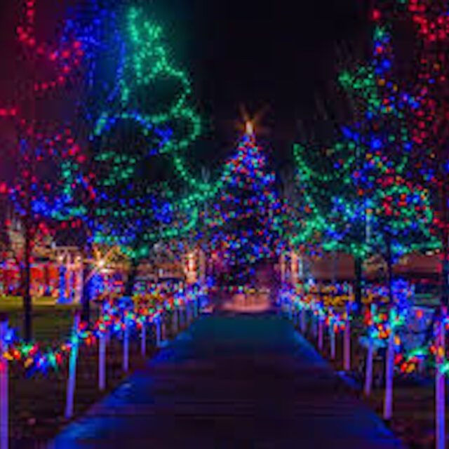 Frankford Christmas Fantasy