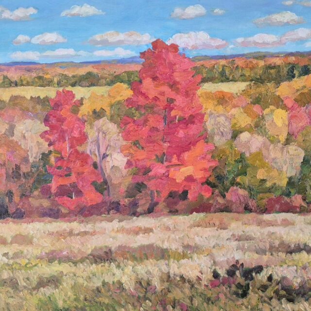 The Evolving Landscape by Robert Huffman