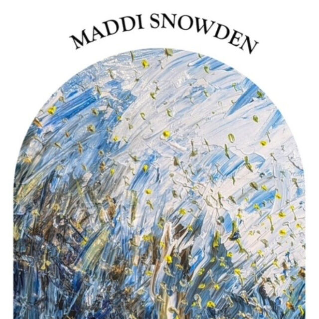 Dolphins in soft pastel 