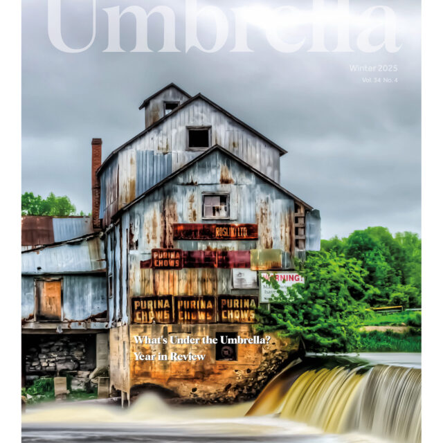 What's Under this Umbrella