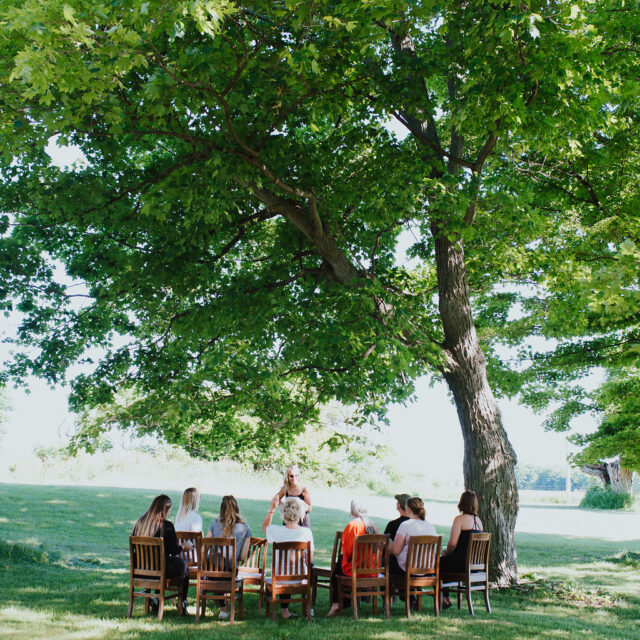 Alchemy Artists Residency Waupoos Island Summer 2026