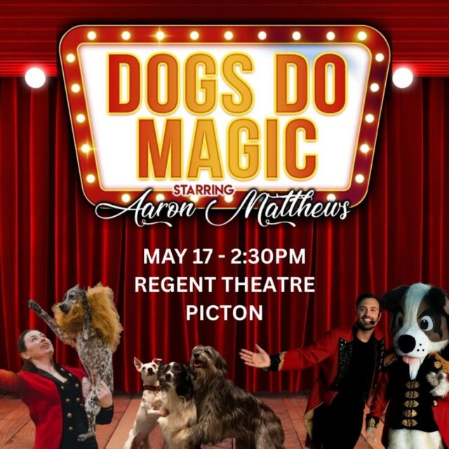 Dogs Do Magic