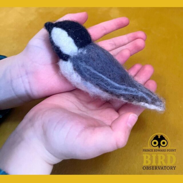  Needle Felting Birds with Lesley Snyder