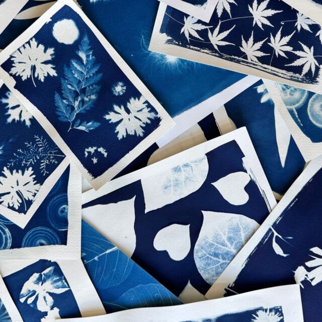 Side by Side in Cyanotype with Sara Keller