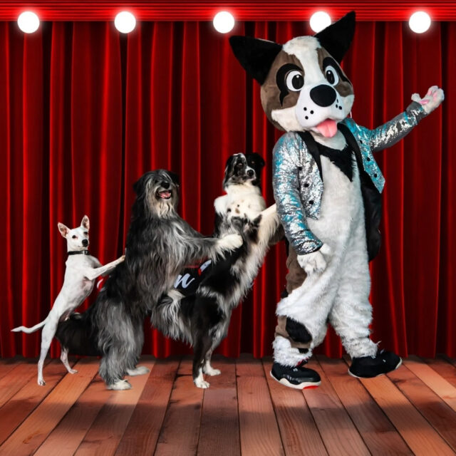 Dogs Do Magic