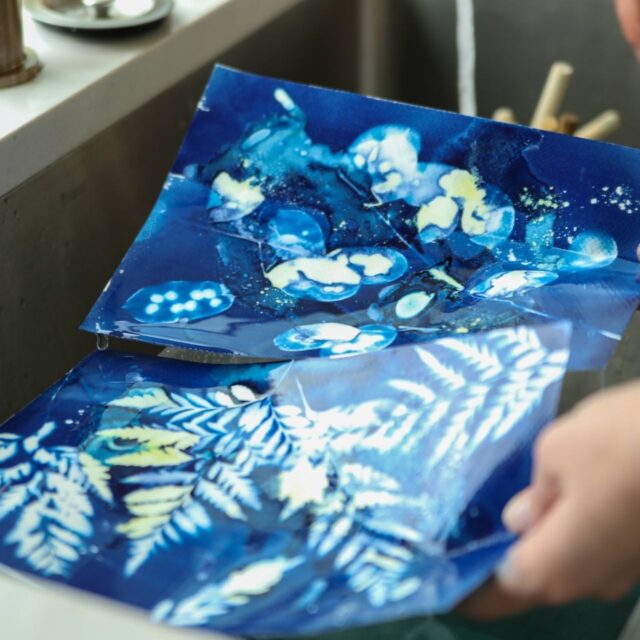 Cyanotype Workshop with Sara Keller
