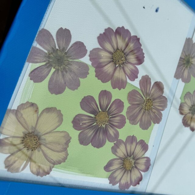 Sun Prints for Kids! with Sara Keller